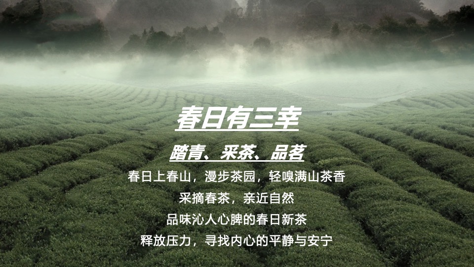 春日采茶团建研学踏青（上春山·去采茶主题）活动策划方案