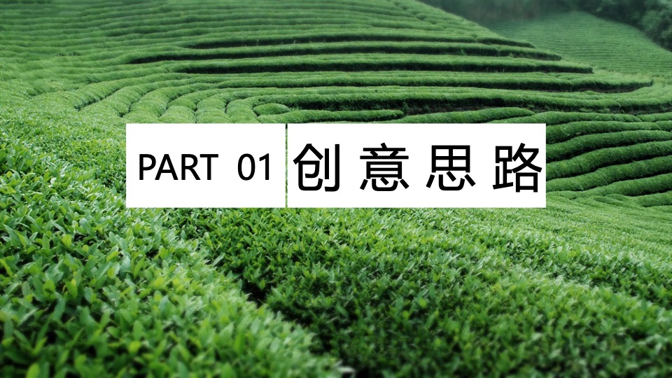 春日采茶团建研学踏青（上春山·去采茶主题）活动策划方案