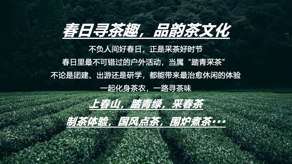 春日采茶团建研学踏青（上春山·去采茶主题）活动策划方案