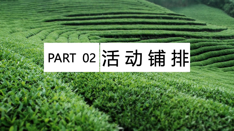 春日采茶团建研学踏青（上春山·去采茶主题）活动策划方案