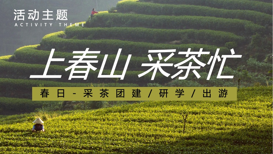 春日采茶团建研学踏青（上春山·去采茶主题）活动策划方案