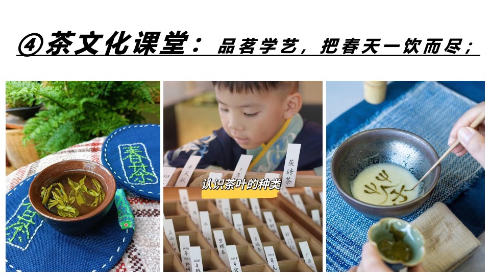 春日采茶团建研学踏青（上春山·去采茶主题）活动策划方案