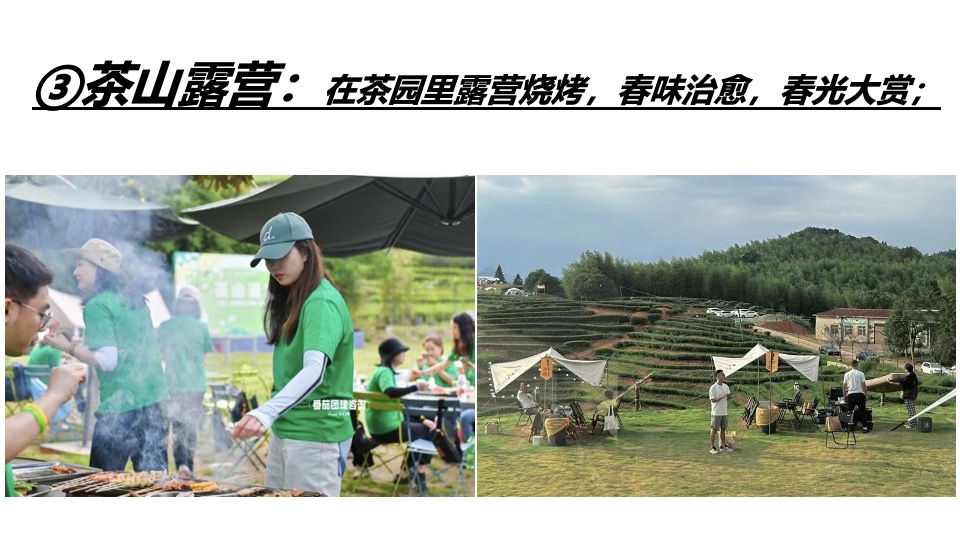 春日采茶团建研学踏青（上春山·去采茶主题）活动策划方案