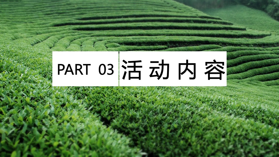 春日采茶团建研学踏青（上春山·去采茶主题）活动策划方案