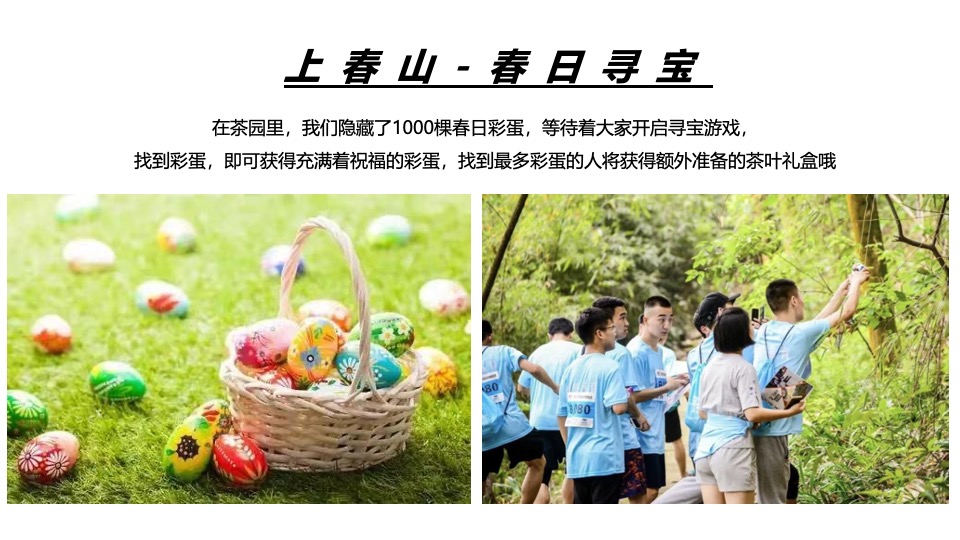 春日采茶团建研学踏青（上春山·去采茶主题）活动策划方案