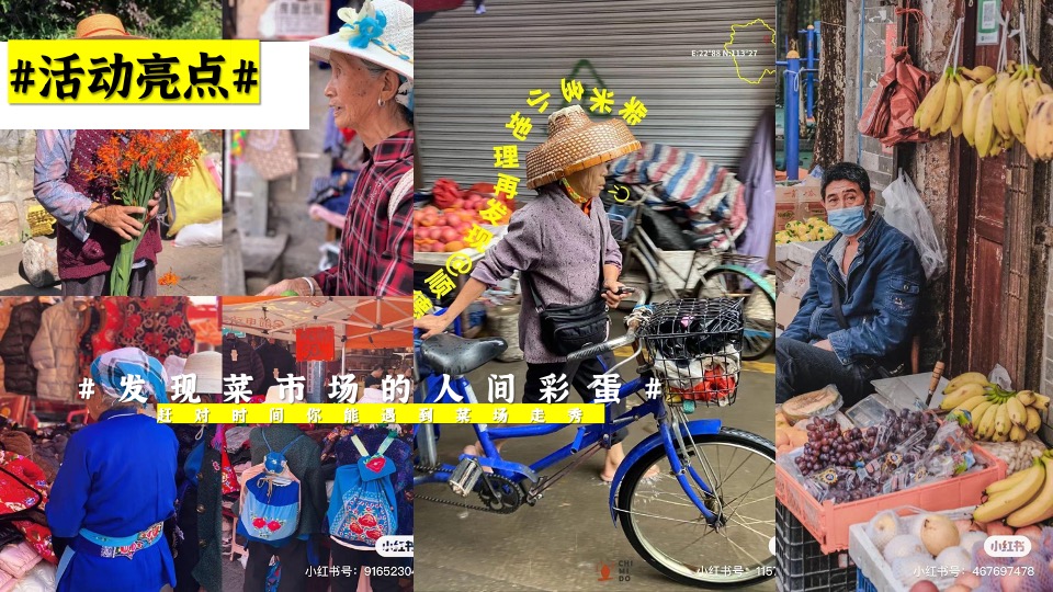 商业广场五一菜市场漫游文学展（不只是一种生活主题）活动策划方案