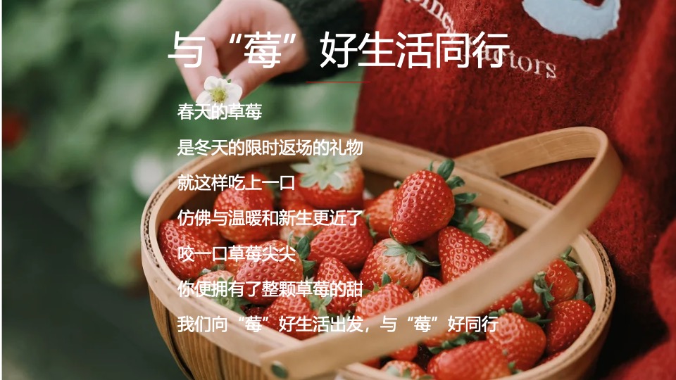 春季户外草莓采摘亲子研学（向“莓”好生活出发主题）活动策划方案