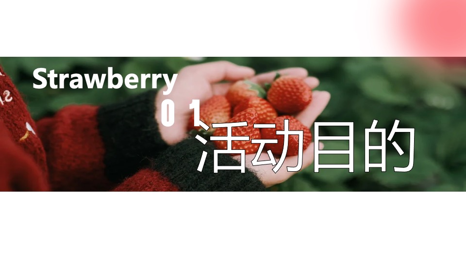春季户外草莓采摘亲子研学（向“莓”好生活出发主题）活动策划方案