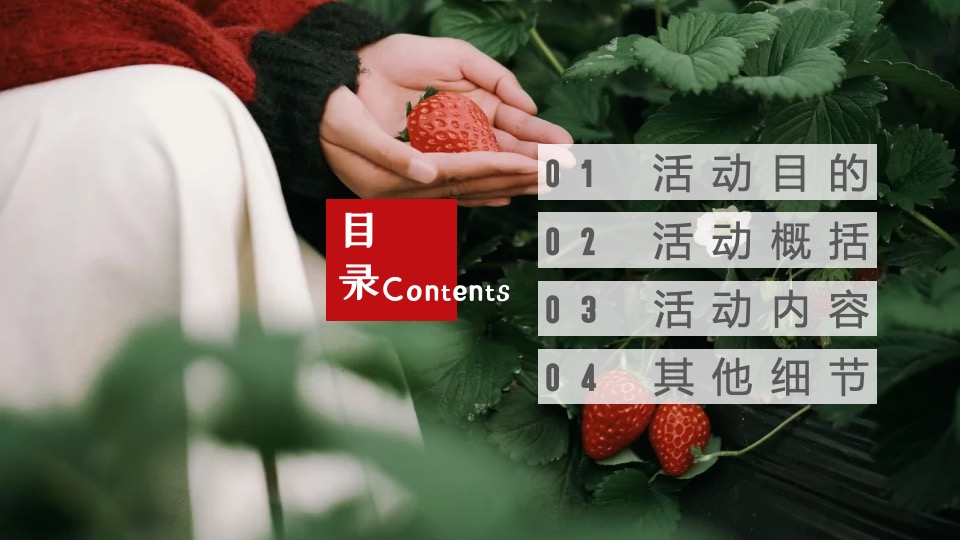 春季户外草莓采摘亲子研学（向“莓”好生活出发主题）活动策划方案