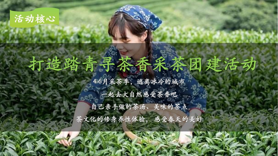 公司春季踏青寻茶香采茶团建（上春山 采春茶主题）活动策划方案