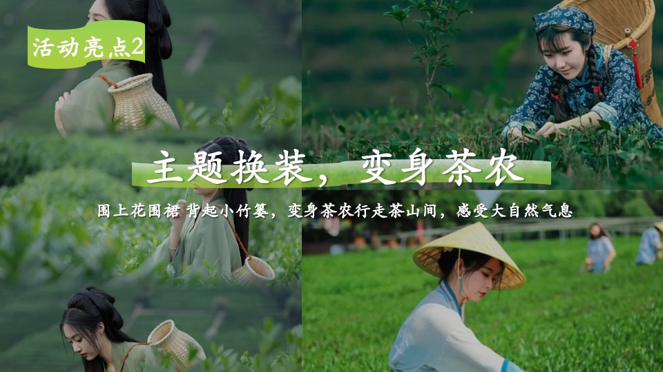 公司春季踏青寻茶香采茶团建（上春山 采春茶主题）活动策划方案