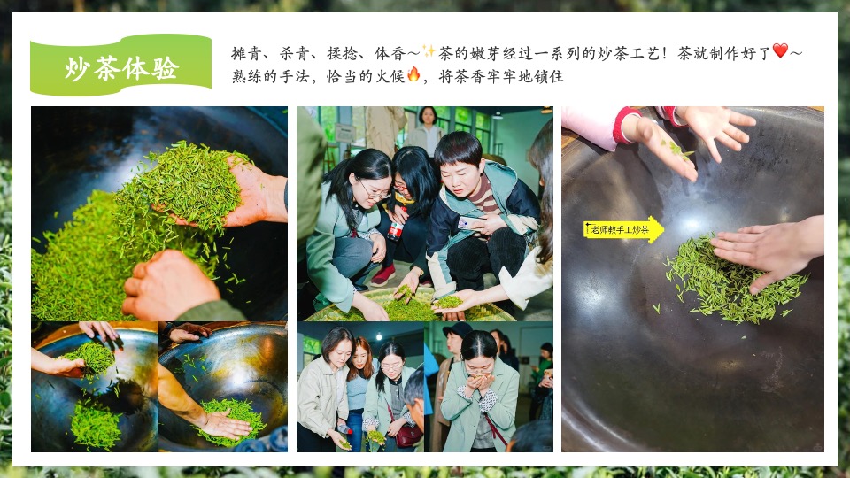 公司春季踏青寻茶香采茶团建（上春山 采春茶主题）活动策划方案
