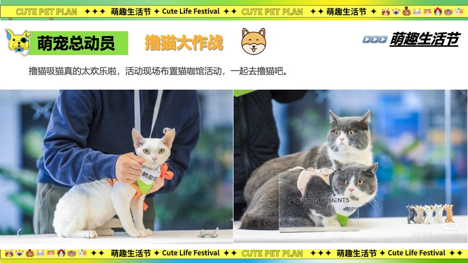 商场地产春日宠物集市（超萌星人派对主题）活动策划方案