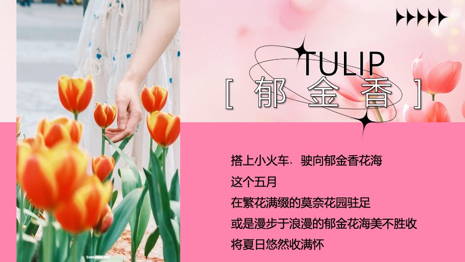 商场地产五月月度郁金香展主题（浪漫五月·郁见你主题）活动策划方案