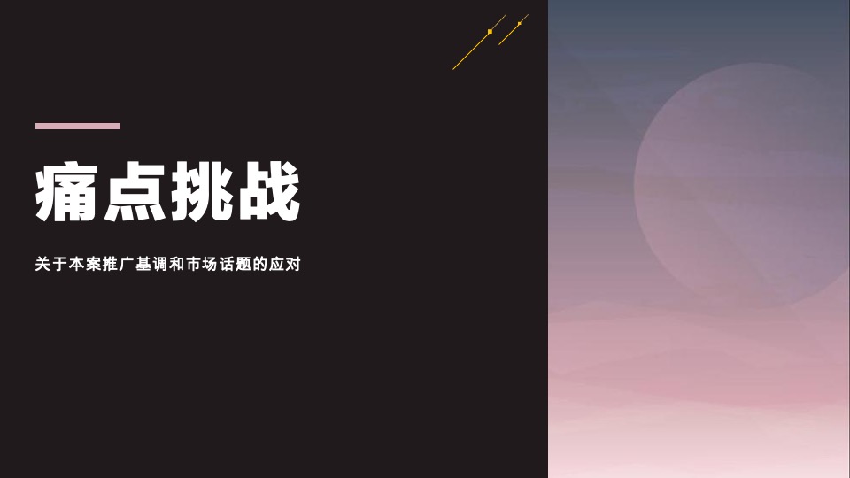 宝业德信宸光里年度推广策略提报