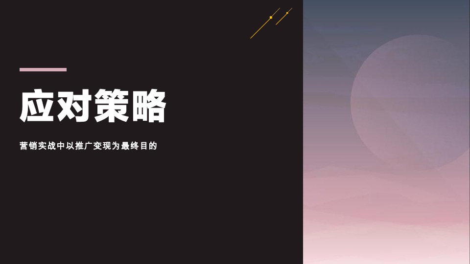 宝业德信宸光里年度推广策略提报