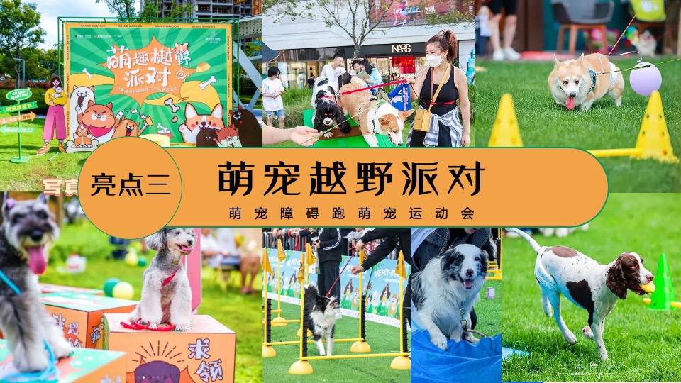 商业广场五一萌宠派对系列（撸可撸可·五一乐翻天主题）活动策划方案