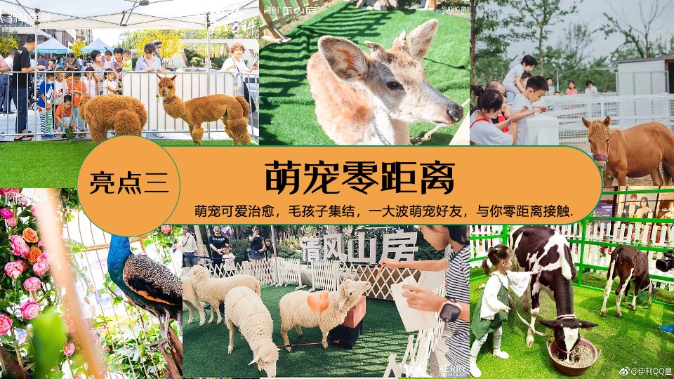 商业广场五一萌宠派对系列（撸可撸可·五一乐翻天主题）活动策划方案