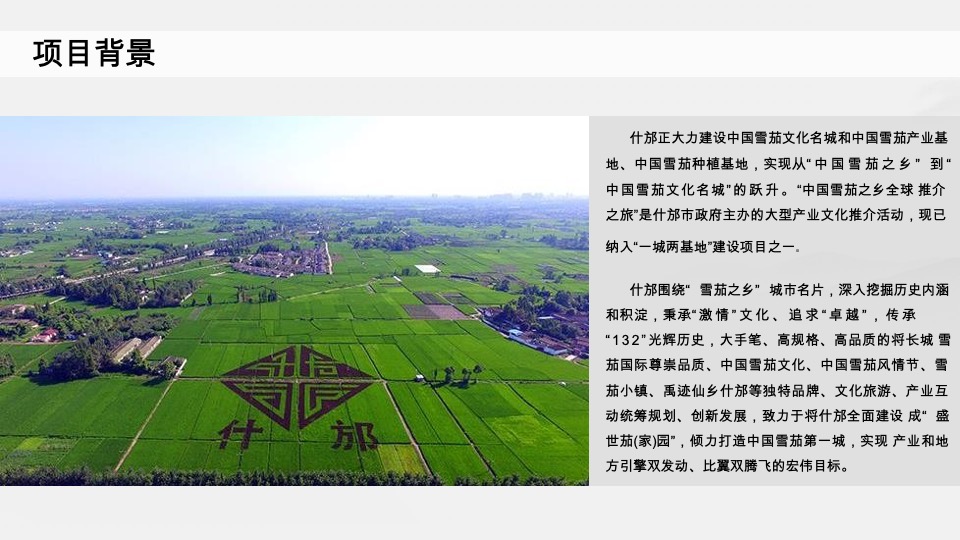 什邡雪茄节 -开幕式推介方案