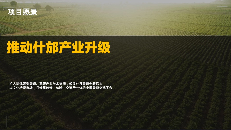 什邡雪茄节 -开幕式推介方案