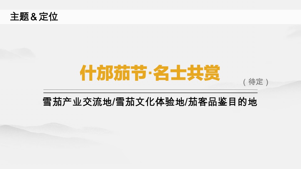 什邡雪茄节 -开幕式推介方案