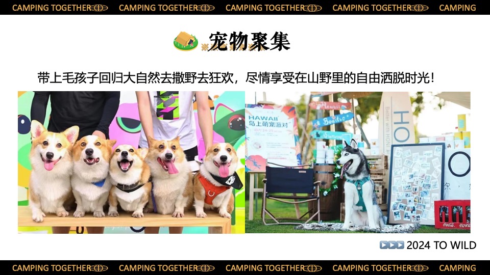 景区营地园区五一六一露营集市嘉年华（一起来露个营主题）活动策划方案