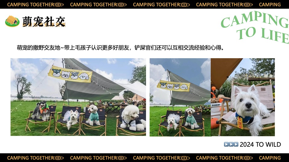 景区营地园区五一六一露营集市嘉年华（一起来露个营主题）活动策划方案