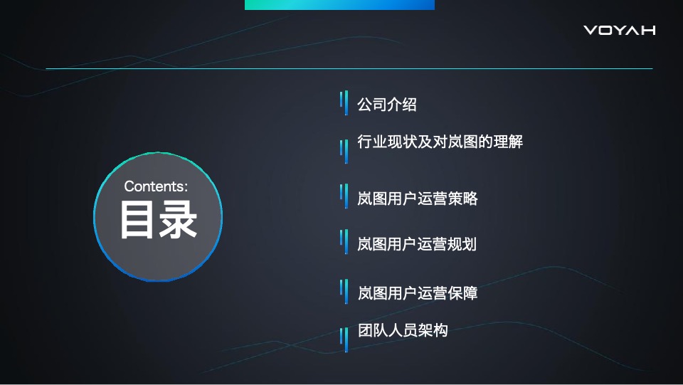 岚图汽车科技公司用户运营项目标书