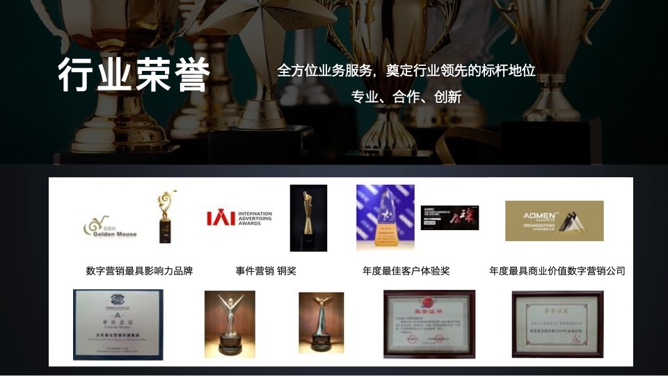 岚图汽车科技公司用户运营项目标书