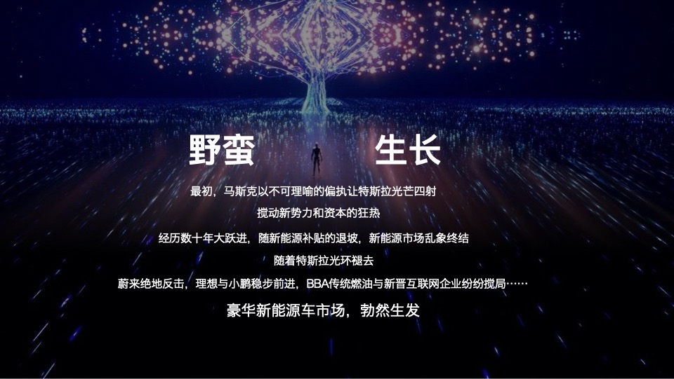 岚图汽车科技公司用户运营项目标书