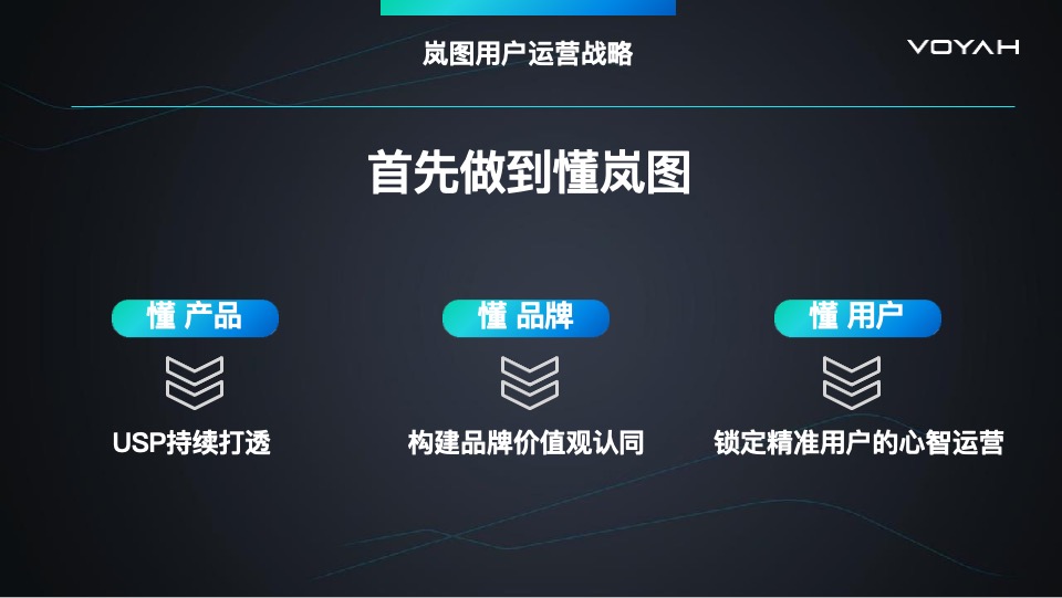 岚图汽车科技公司用户运营项目标书