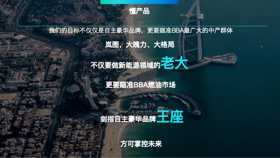 岚图汽车科技公司用户运营项目标书