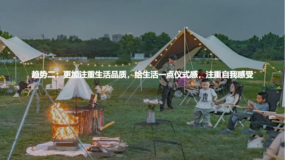 汽车品牌媒体野营试驾之旅（趣野·趣露营主题）活动策划方案