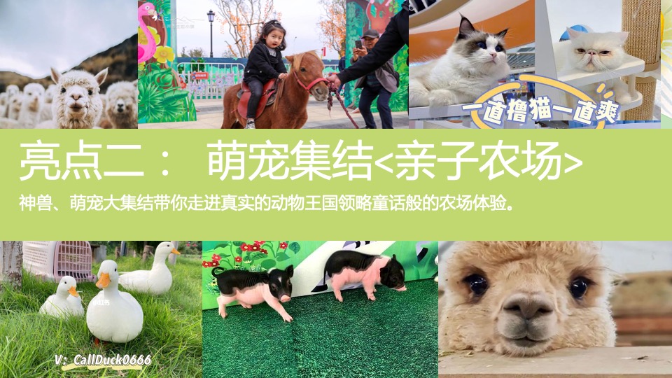 商场地产景区春日萌宠嘉年华（春日潮悦计划主题）活动策划方案