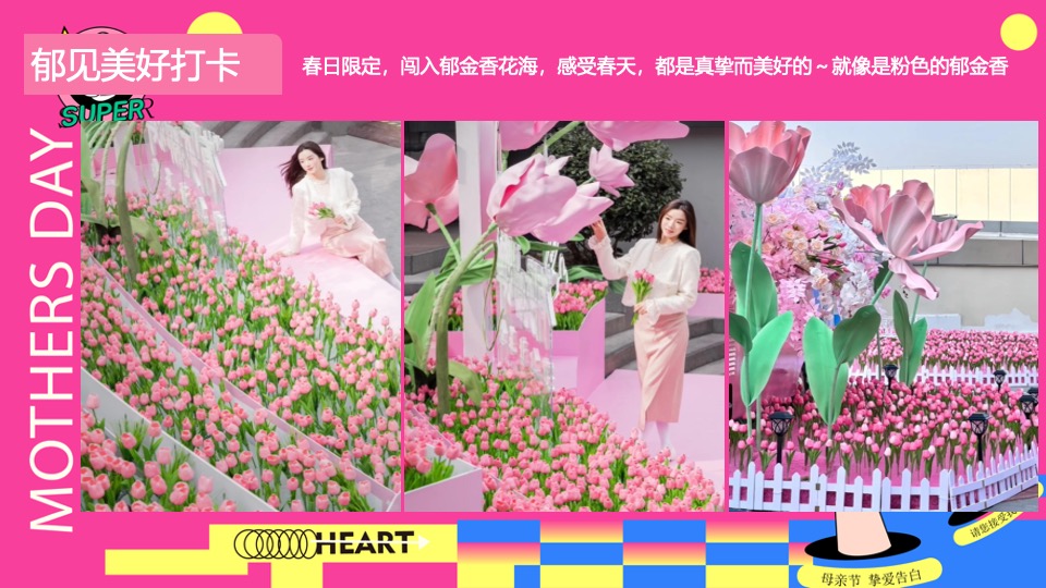 商场地产五月母亲节暖场系列（宠妈指南计划主题）活动策划方案