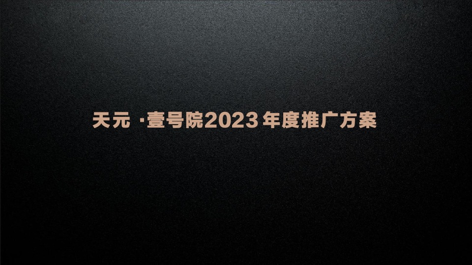 天元壹号院年度推广策略案#麦芒传播#