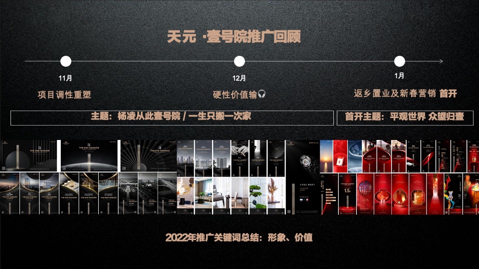 天元壹号院年度推广策略案#麦芒传播#