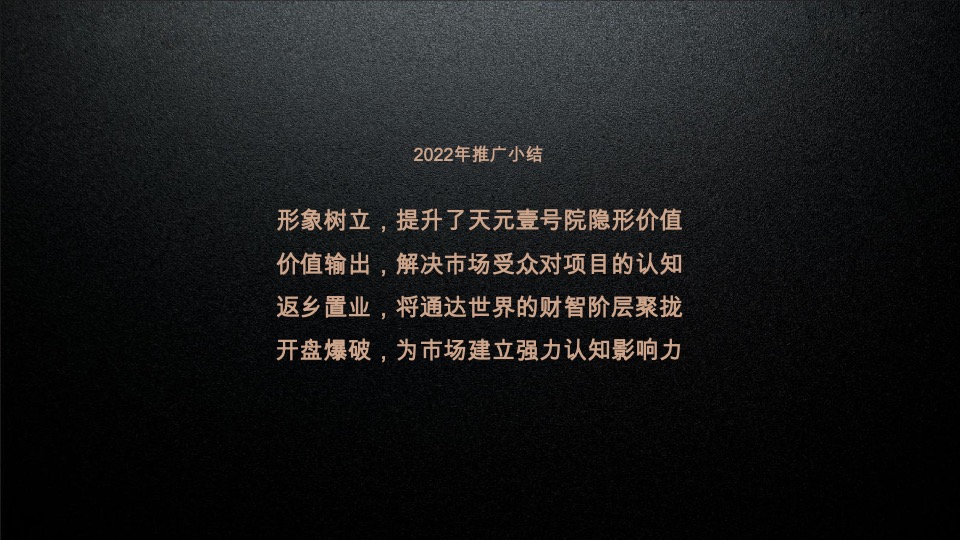 天元壹号院年度推广策略案#麦芒传播#