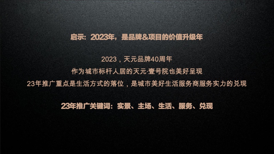 天元壹号院年度推广策略案#麦芒传播#