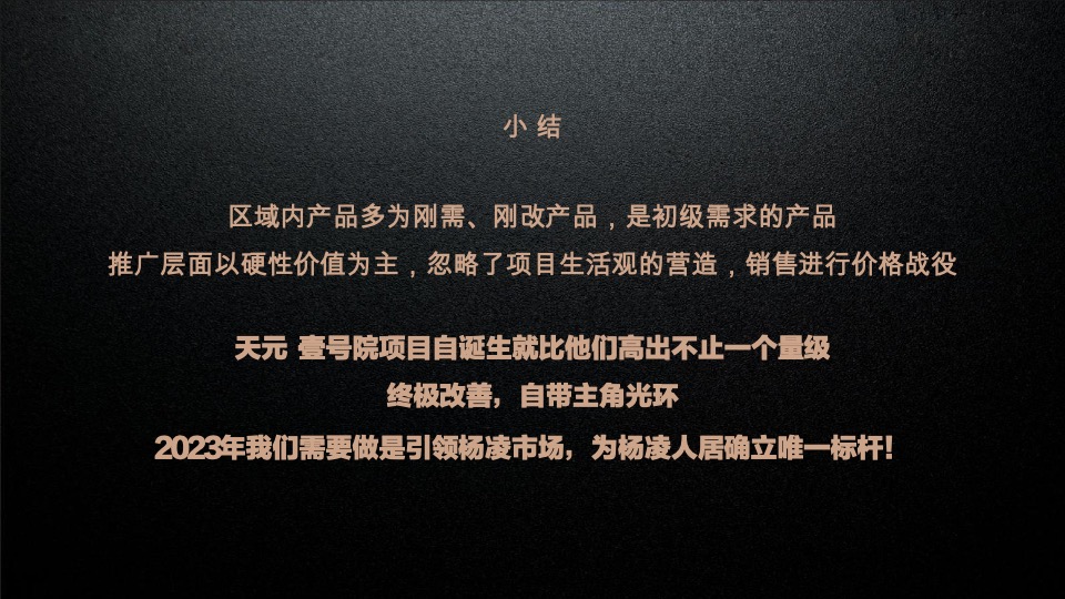 天元壹号院年度推广策略案#麦芒传播#