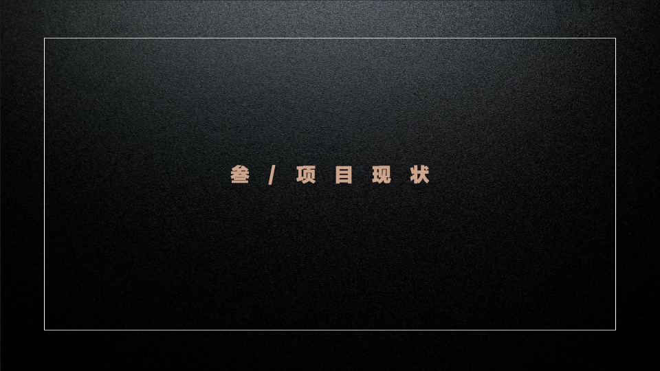 天元壹号院年度推广策略案#麦芒传播#