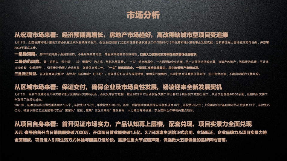 天元壹号院年度推广策略案#麦芒传播#