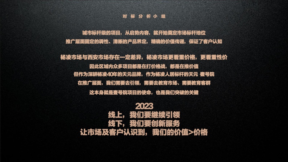 天元壹号院年度推广策略案#麦芒传播#