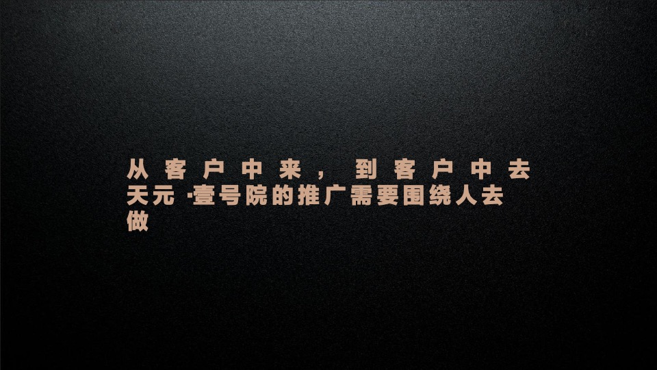 天元壹号院年度推广策略案#麦芒传播#
