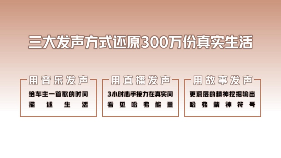 哈弗H6直播-网易接力直播计划