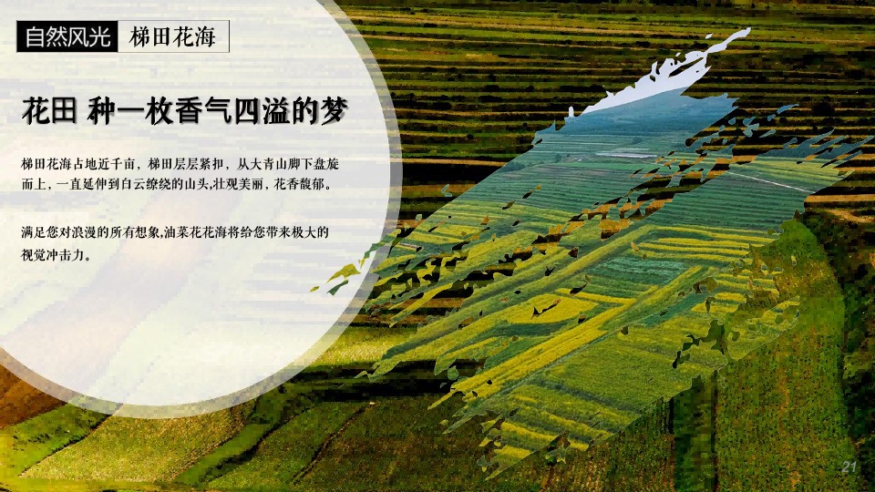 大青山文旅国际旅游度假区旅游资源推介方案