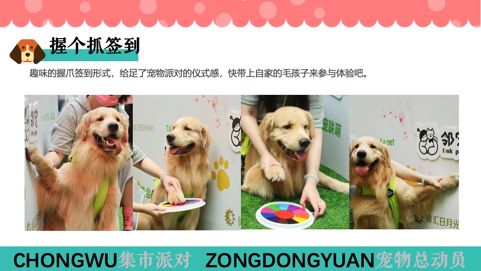 商场地产六一宠物市集系列（萌宠派对总动员主题）活动策划方案