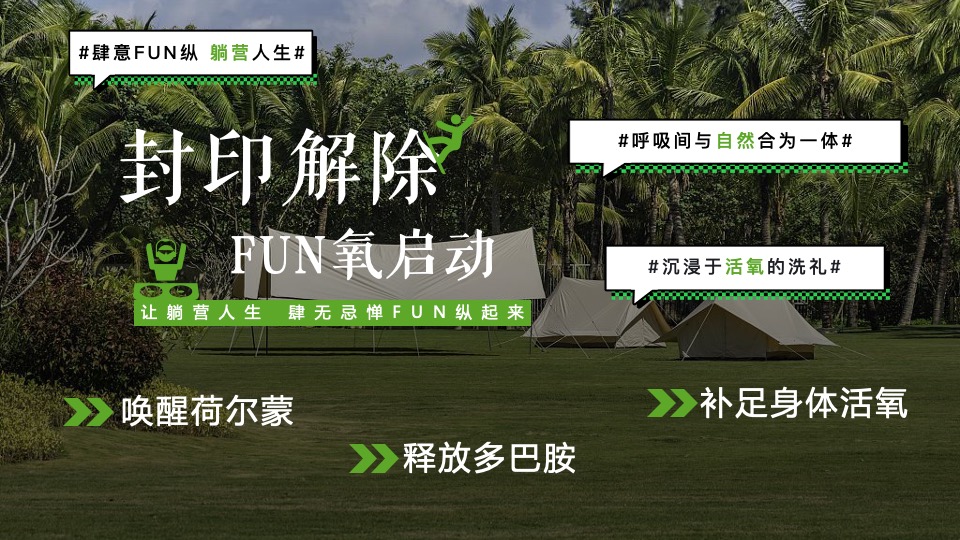 新能源汽车联盟躺营大会（新能绿动·城市FUN氧主题）露营活动策划方案