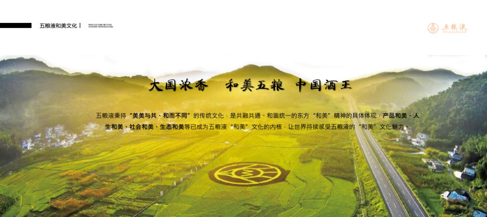 五粮液品牌文化巡礼山东站活动策划方案