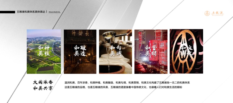 五粮液品牌文化巡礼山东站活动策划方案